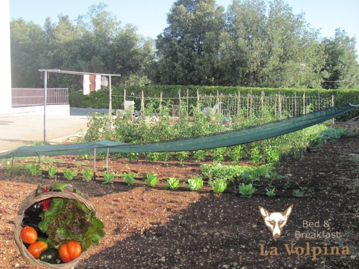 La Volpina Bed and Breakfast Μαρτίνα Φράνκα Εξωτερικό φωτογραφία