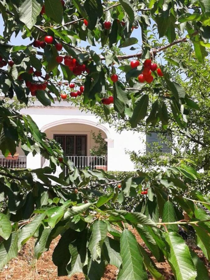 La Volpina Bed and Breakfast Μαρτίνα Φράνκα Εξωτερικό φωτογραφία